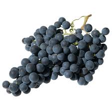 Merlot grapes